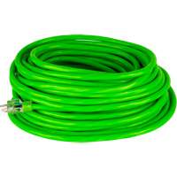 Industrial Extension Cord, All-Weather, SJTW, 10/3 AWG, 15 A, 50' Northern Industrial Supply Inc.