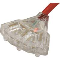 Generator Extension Cord with Tritap, STW, 10 AWG, 3 Outlet(s), 25' Northern Industrial Supply Inc.
