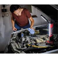 18V Cordless LED Work Light (Tool Only), LED, 1000 Lumens Northern Industrial Supply Inc.